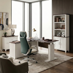 Executive Office Set:ark ES Standing Desk, Chair and Storage