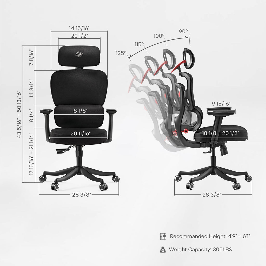 Axion, Ergonomic Hybrid Chair
