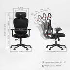 Axion, Ergonomic Hybrid Chair